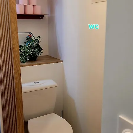 Cosy Avec Jardinet 300 De La 维亚斯
