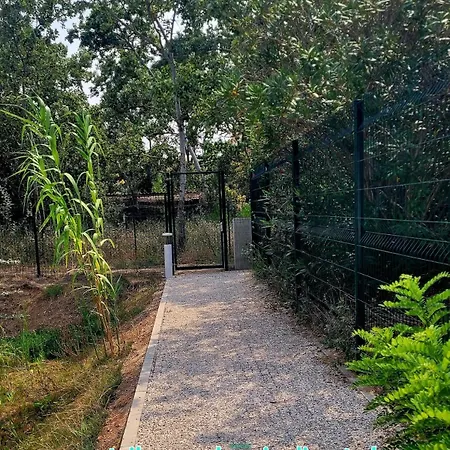 Cosy Avec Jardinet 300 De La Vias